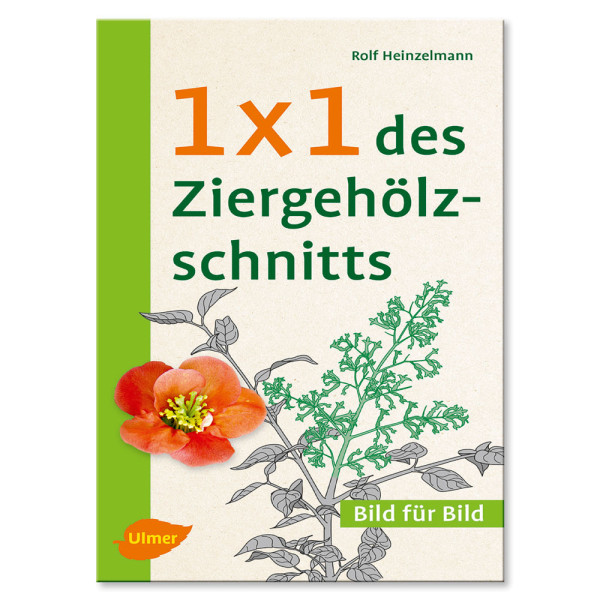 Kniha: 1 x 1 des Ziergehölzschnitts