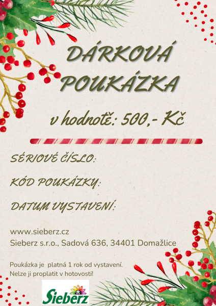 Dárková poukázka 500